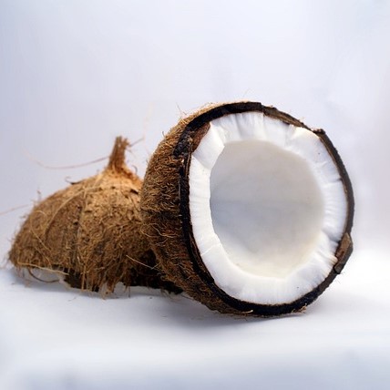 Coconut